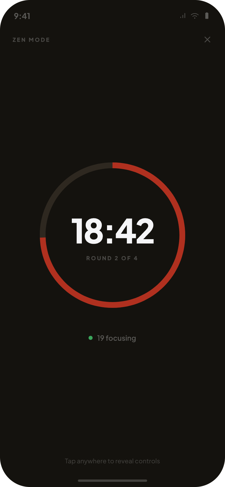Zen mode: only the timer ring on a dark screen